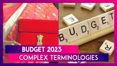Budget 2023: Complex Terminologies Of The Annual Budget And What They Mean